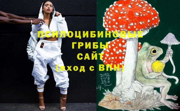 прущие грибы Краснотурьинск