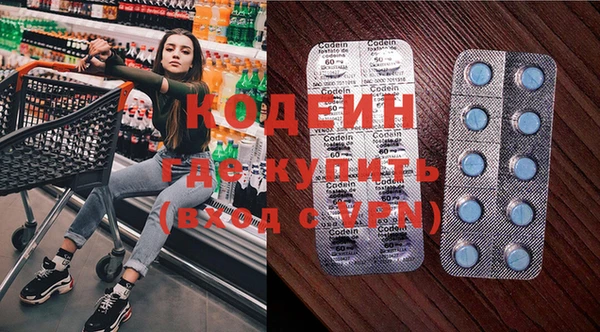 прущие грибы Краснотурьинск