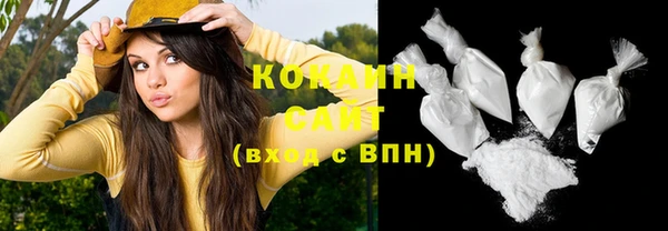 МДПВ Кукмор