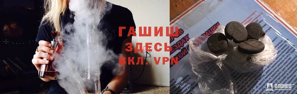 прущие грибы Краснотурьинск