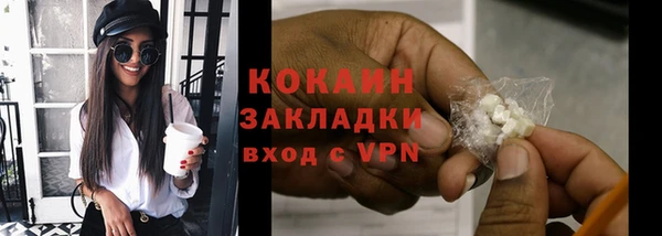 прущие грибы Краснотурьинск