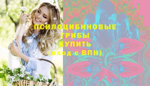 прущие грибы Краснотурьинск