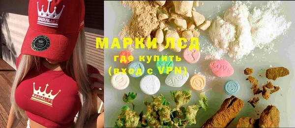 прущие грибы Краснотурьинск