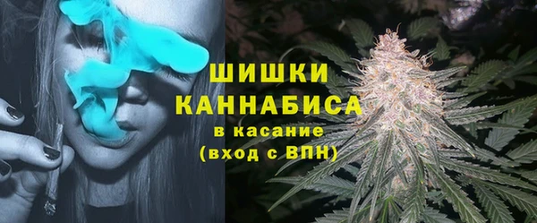 прущие грибы Краснотурьинск