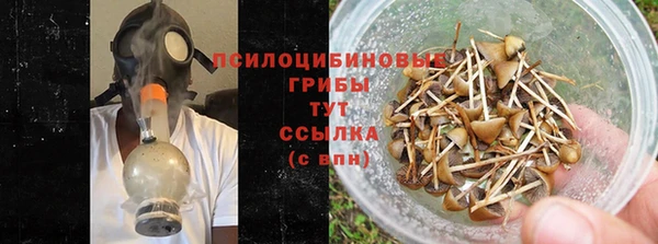 МДПВ Кукмор