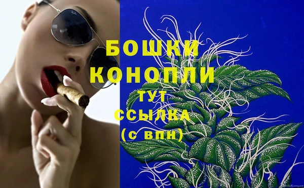сатива Куйбышев