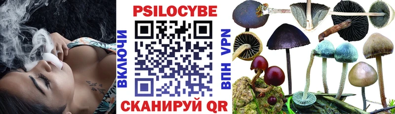 дарнет шоп  Киренск  Псилоцибиновые грибы мухоморы 